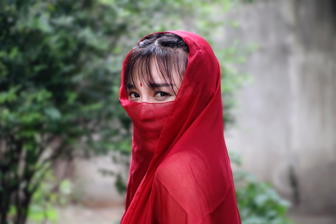 ‘Tiên nữ đồng quê’ Lý Tử Thất lập kỷ lục Guinness với loạt video ‘cổ phong mỹ thực’ ảnh 2