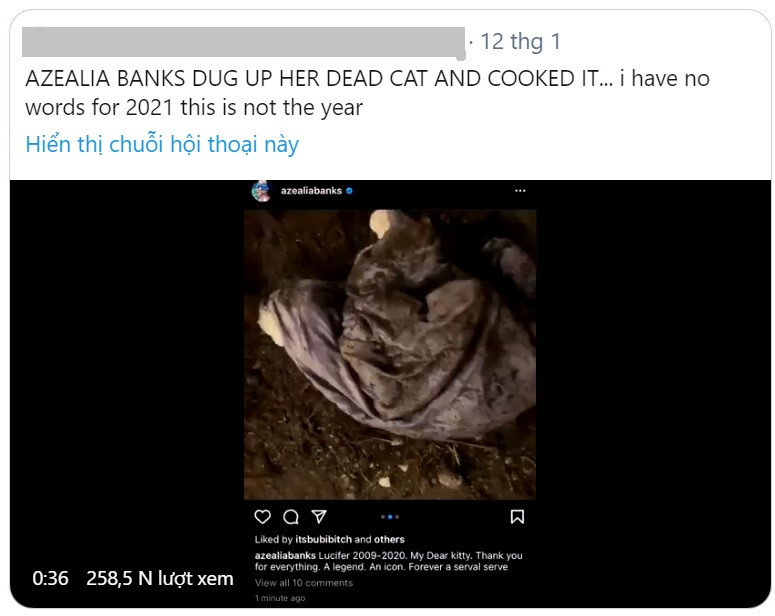 Rapper người Mỹ gây 'sốc' khi đào con mèo đã chết để…nấu súp ảnh 1