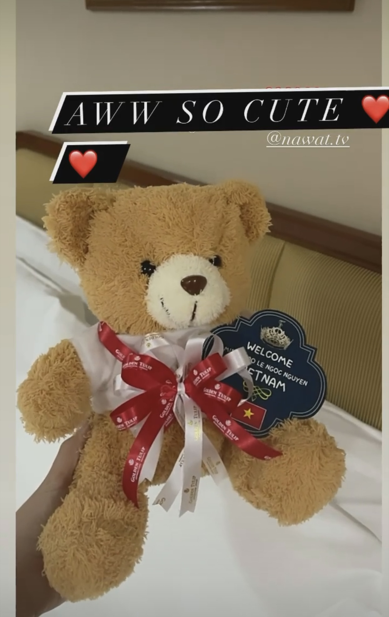 Á hậu Ngọc Thảo quay clip chia sẻ ngày đầu cách ly ở Thái, được fans quốc tế khen hết lời ảnh 7