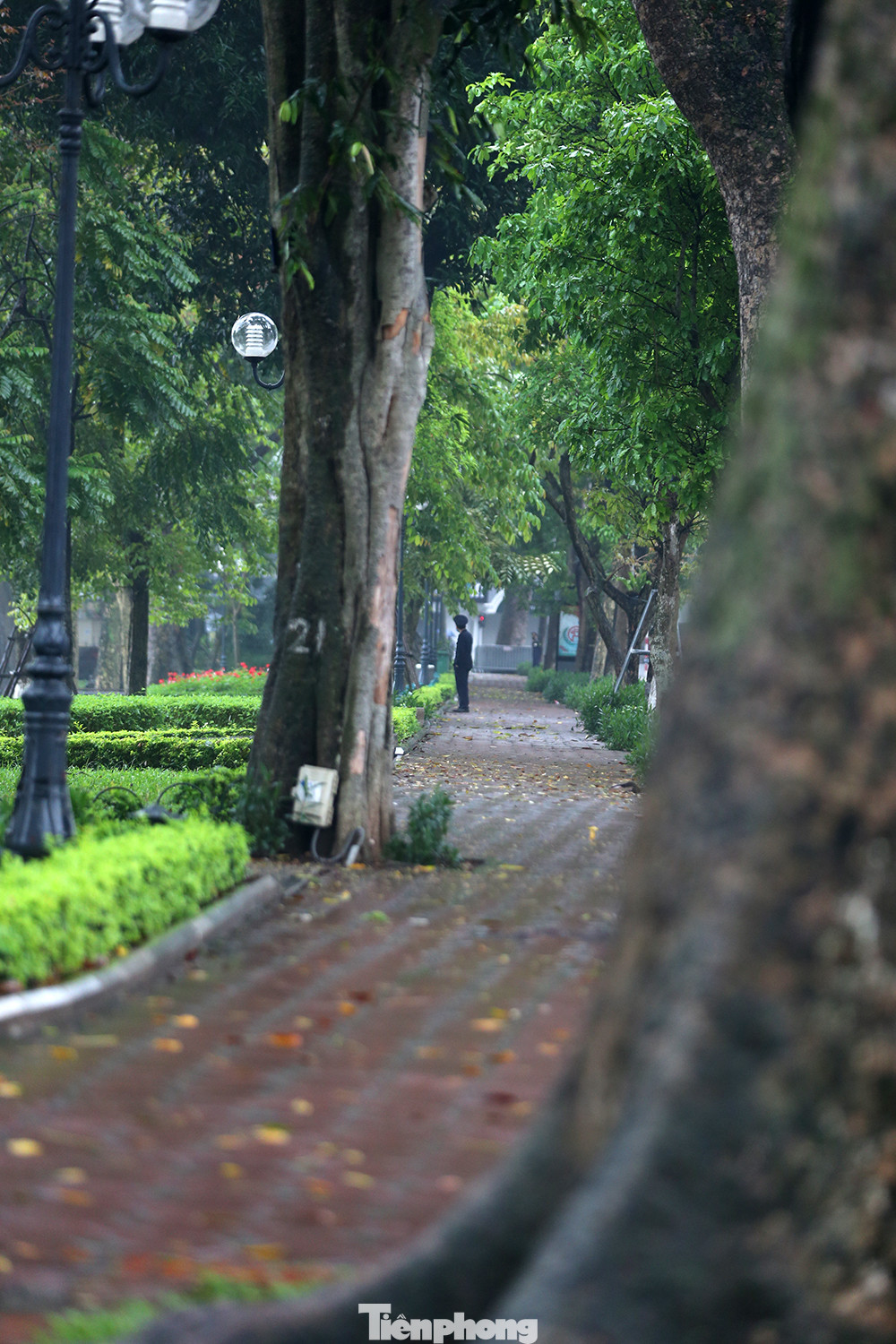 Ngày thứ 3 'cách ly toàn xã hội', hồ Hoàn Kiếm vắng bóng người tập thể dục ảnh 10