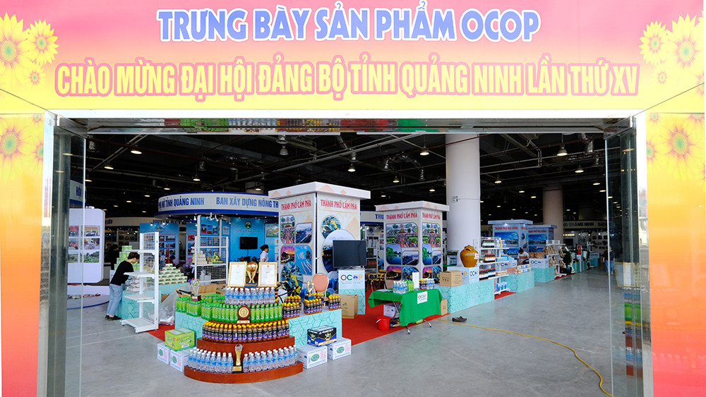 Người dân hào hứng tới triển lãm thành tựu kinh tế - xã hội Quảng Ninh ảnh 11