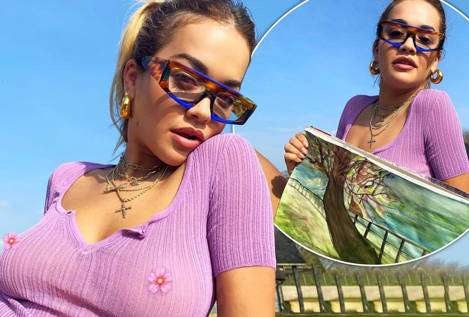 Rita Ora mặc bikini nhỏ xíu tắm nắng ở vườn nhà ảnh 4
