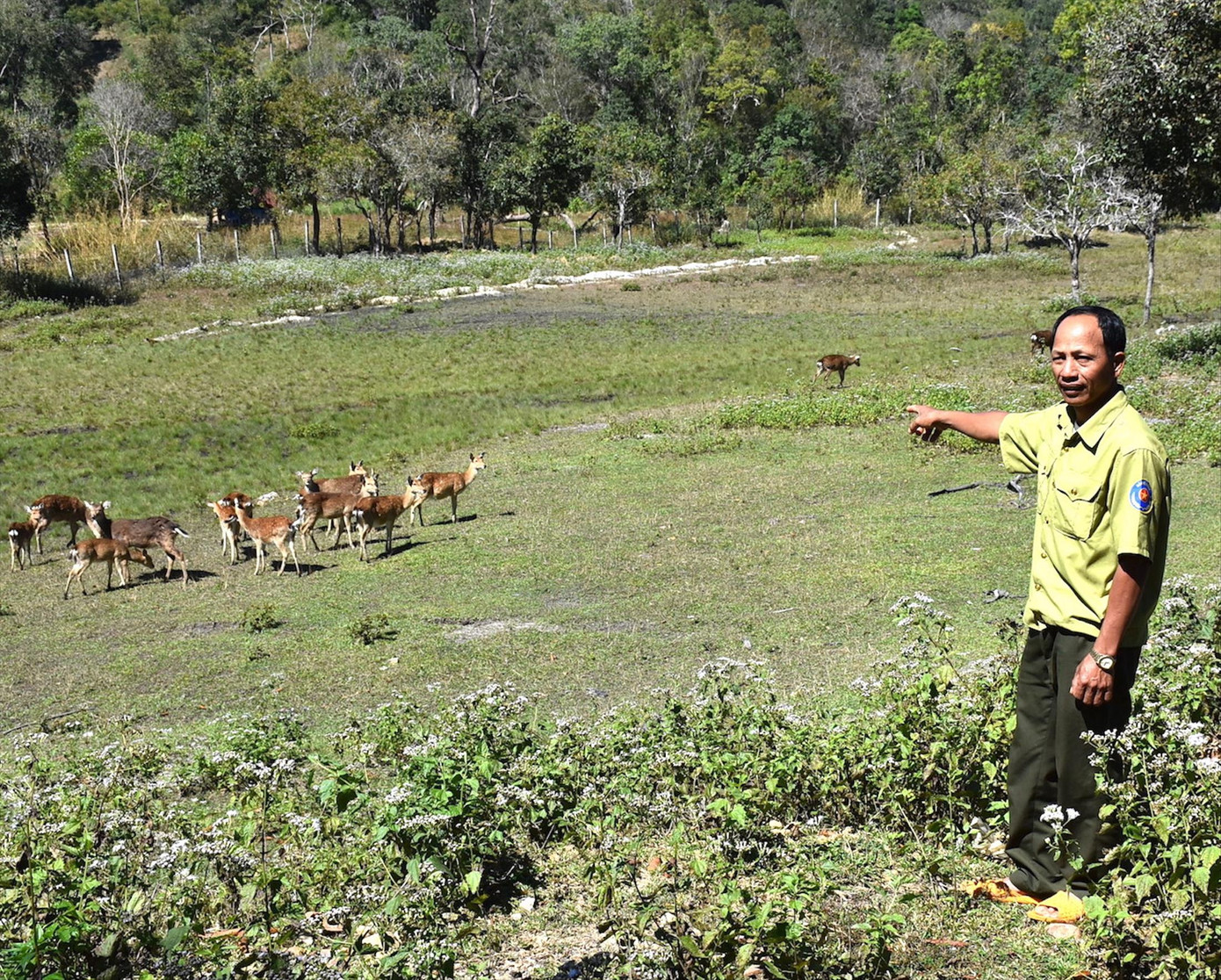 Những thợ săn trả nợ rừng xanh ảnh 1