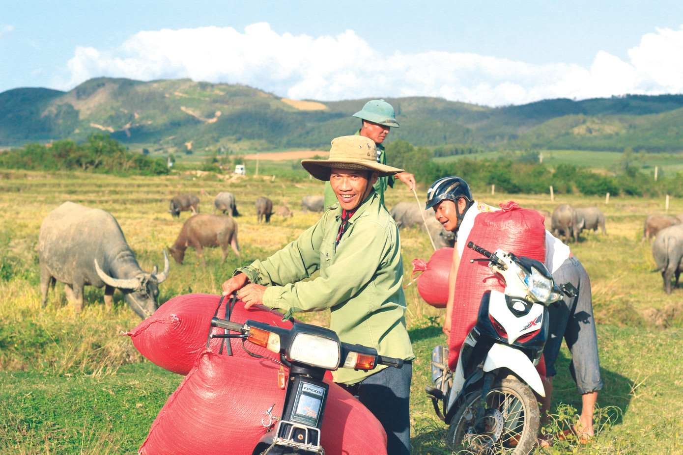Làng không ăn thịt trâu ảnh 1