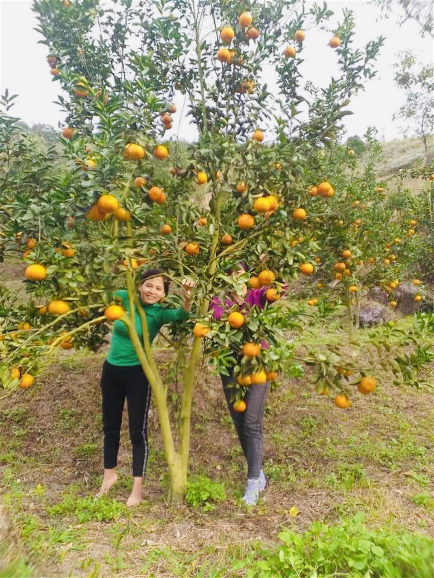 Tranh thủ trẻ ngủ trưa, cô giáo vội chốt đơn bán hàng bù đồng lương ít ỏi ảnh 1