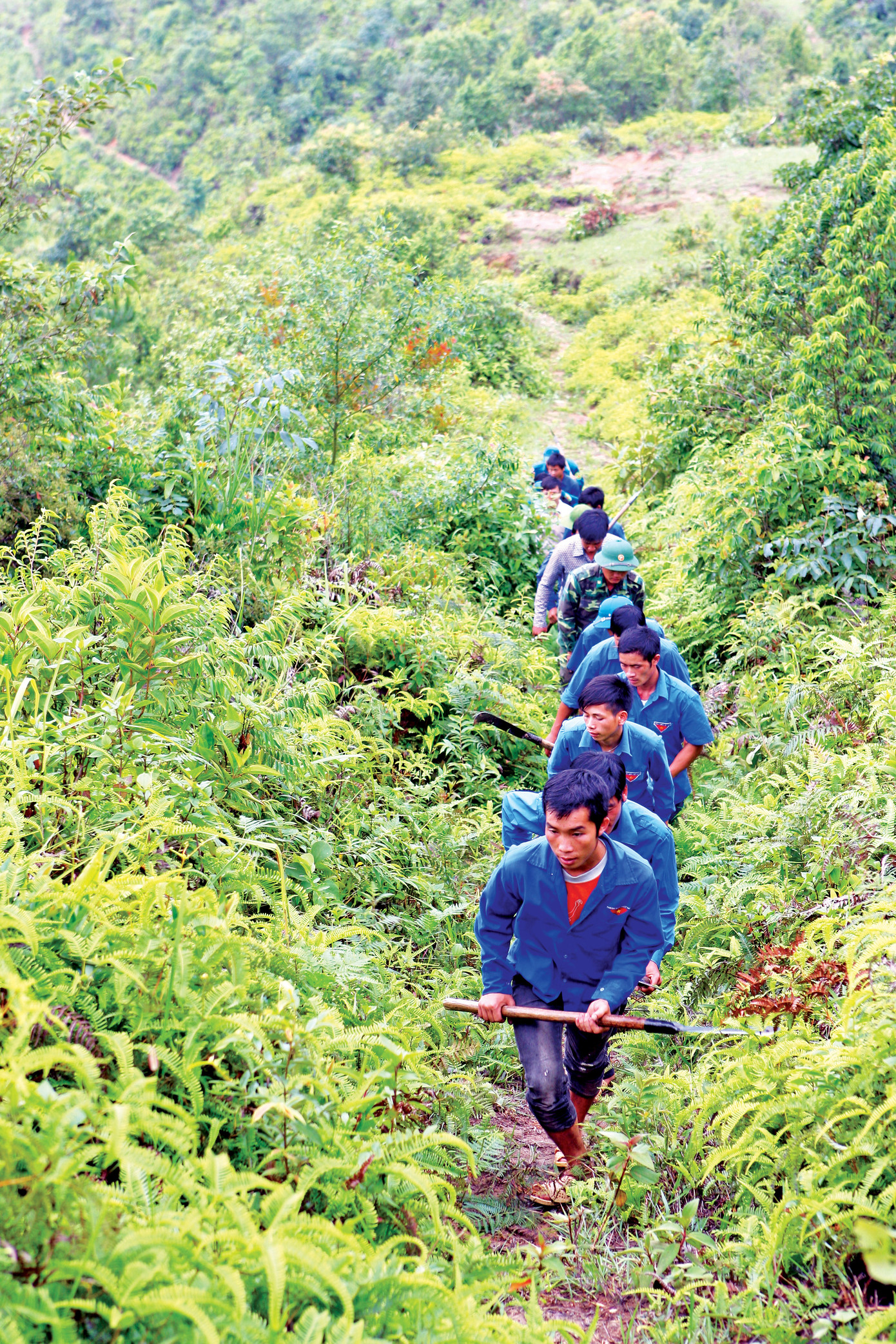 'Thanh niên lập nghiệp' và 'Tuổi trẻ giữ nước' ảnh 1