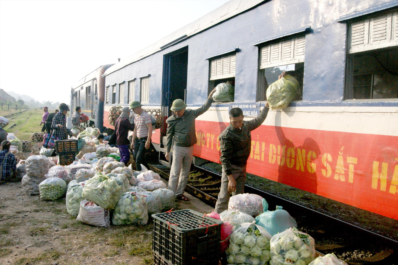 Ninh Bình đề xuất xây sân bay tại Kim Sơn hoặc Yên Khánh ảnh 2