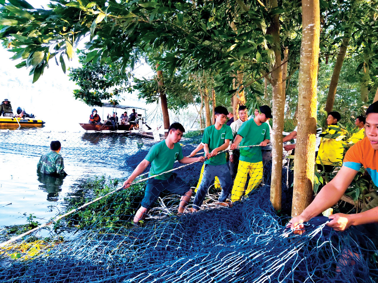 Gian nan 17 năm lần tìm rùa Hoàn Kiếm ảnh 1