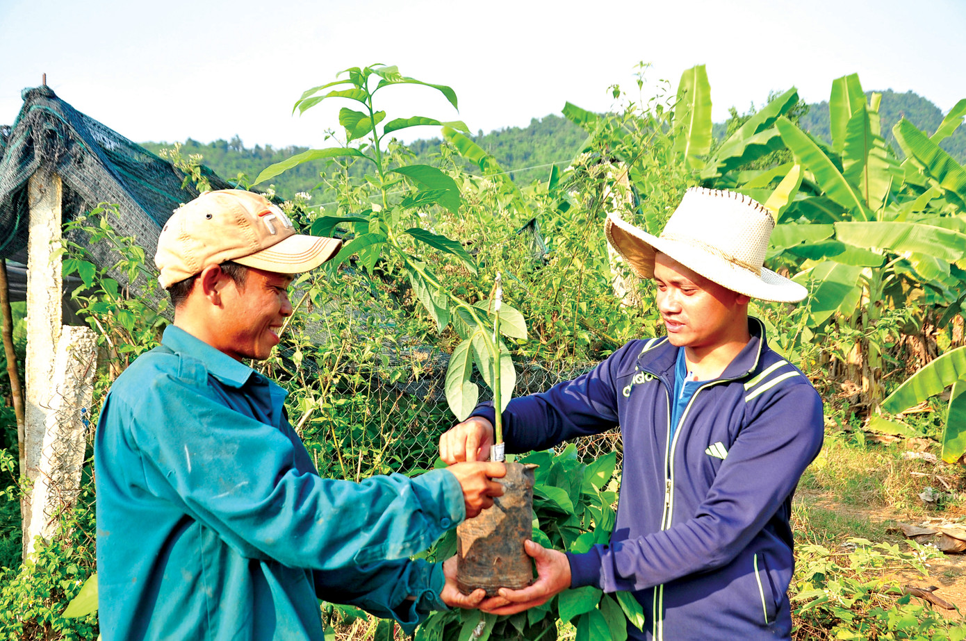 Làng thanh niên lập nghiệp Thạnh Mỹ: Lên non '3 cùng' ảnh 1