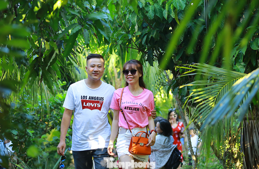 Chợ nổi Cái Răng-Cần Thơ tấp nập khách du lịch ngày đầu năm ảnh 15