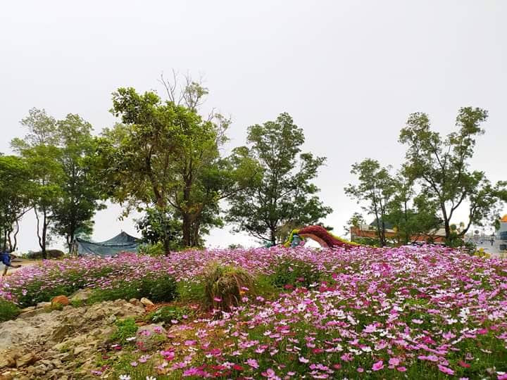 Lên đỉnh ‘nóc nhà Đông Nam Bộ’ chỉ mất 8 phút ảnh 3