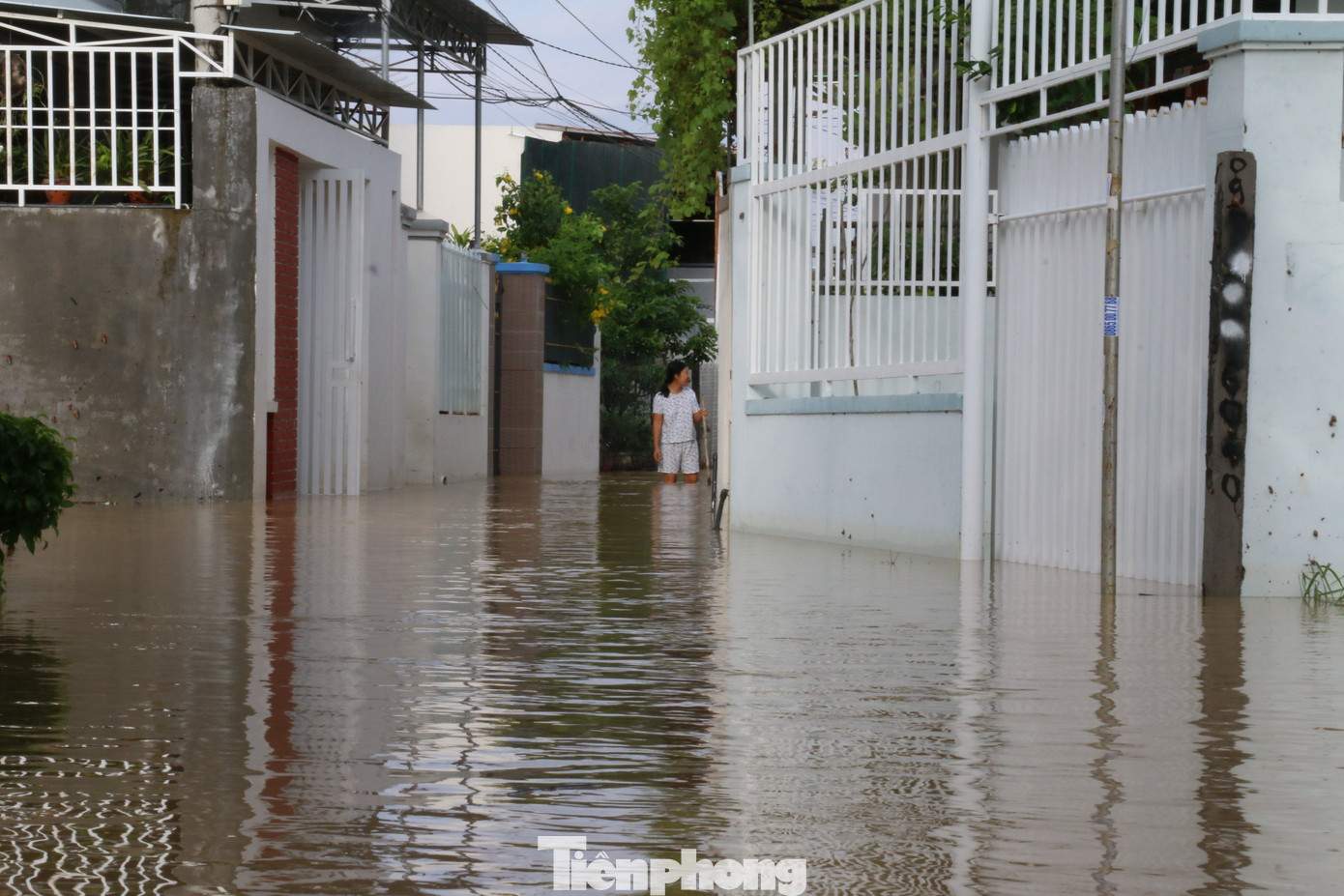Bão tan nhưng dân phố biển Nha Trang vẫn bì bõm nơi nước ngập ảnh 3