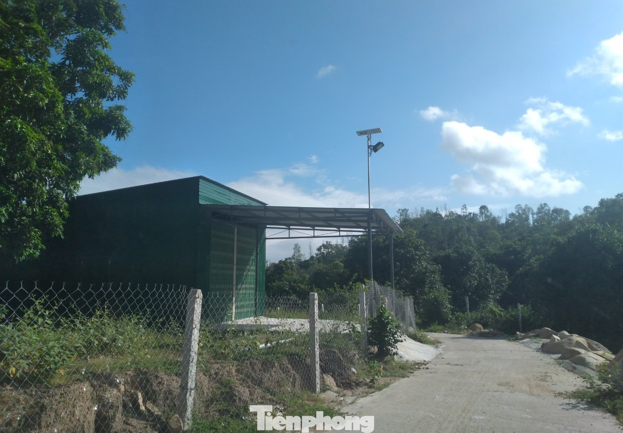 Khánh Hoà: Núi Hòn Rồng tiếp tục bị 'cày xới' để xây dựng trái phép ảnh 4