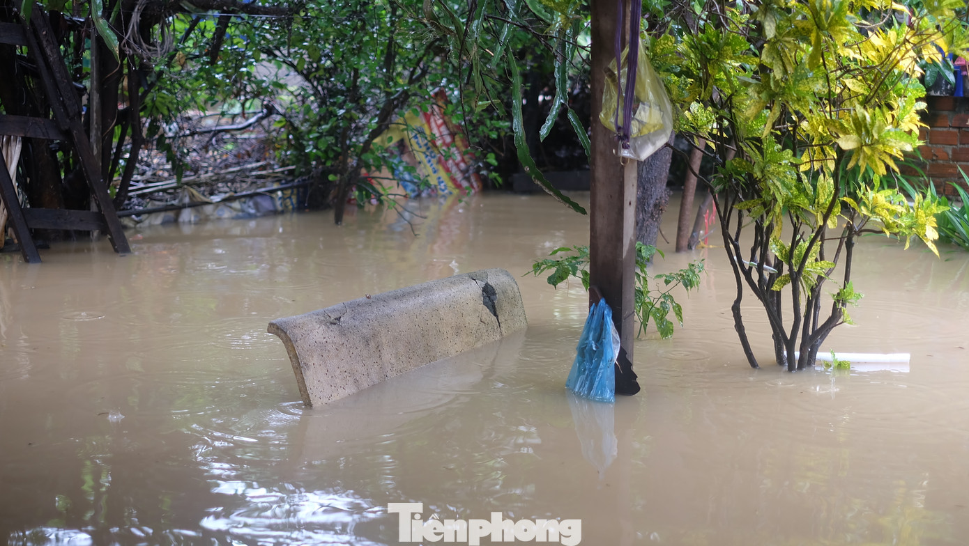 Dân Nha Trang “vật lộn” di chuyển trên những con đường ngập chìm trong nước ảnh 7
