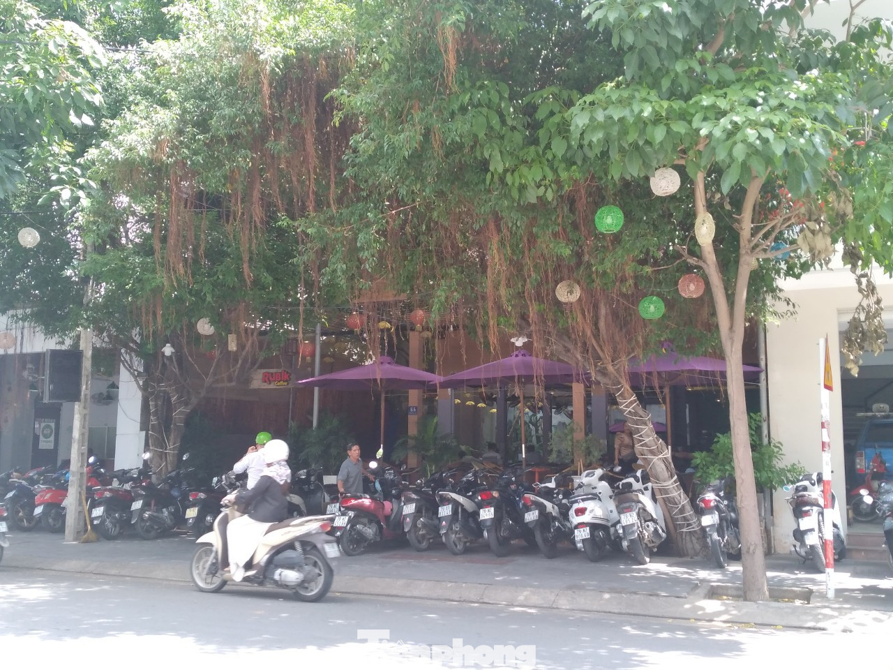 Cận cảnh các dự án giao đất công, 'đất vàng' sai phạm ở Khánh Hoà ảnh 4