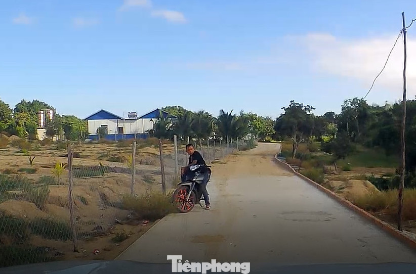 Khánh Hoà: Núi Hòn Rồng tiếp tục bị 'cày xới' để xây dựng trái phép ảnh 2