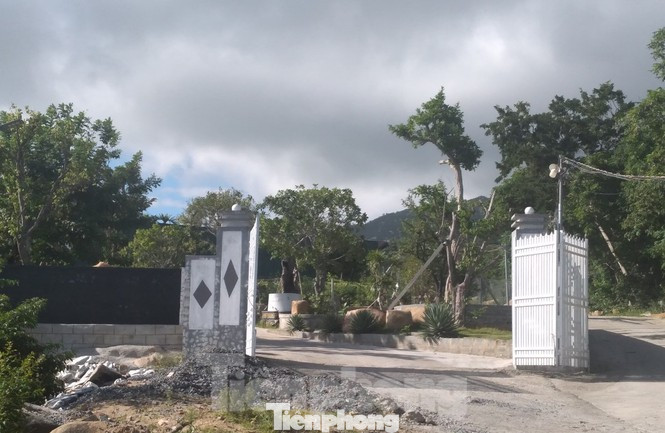 Khởi tố chủ trang trại xây dựng trái phép trên núi Hòn Rồng ảnh 1