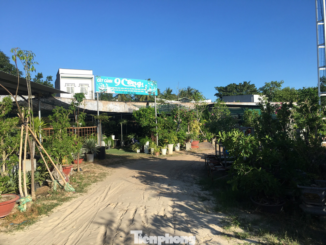 Cho thuê 18.000m2 đất sân vận động Cam Ranh với giá 'bèo' ảnh 3