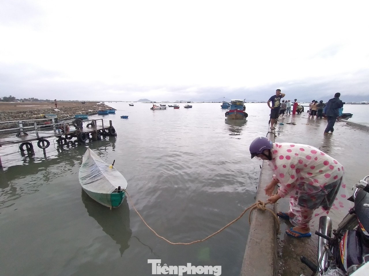 Khánh Hoà chạy đua ứng phó trước giờ 'cuồng phong' số 12 đổ bộ ảnh 1