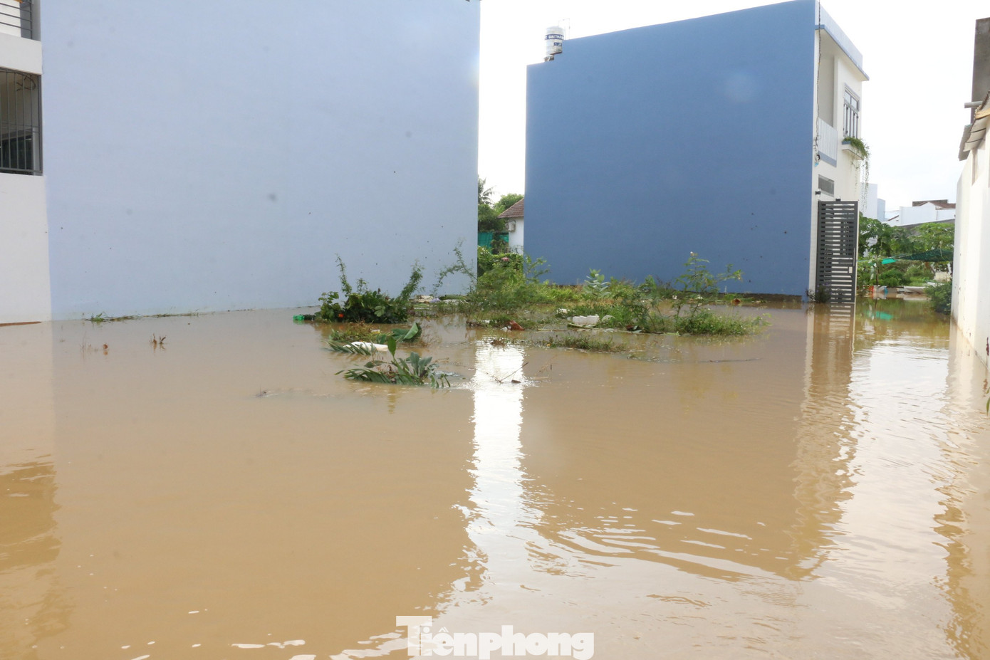 Bão tan nhưng dân phố biển Nha Trang vẫn bì bõm nơi nước ngập ảnh 4