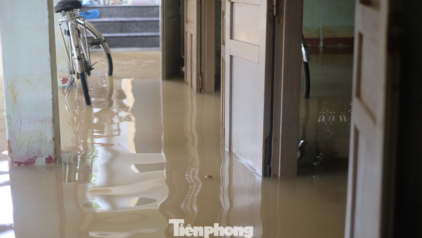 Dân Nha Trang “vật lộn” di chuyển trên những con đường ngập chìm trong nước ảnh 9