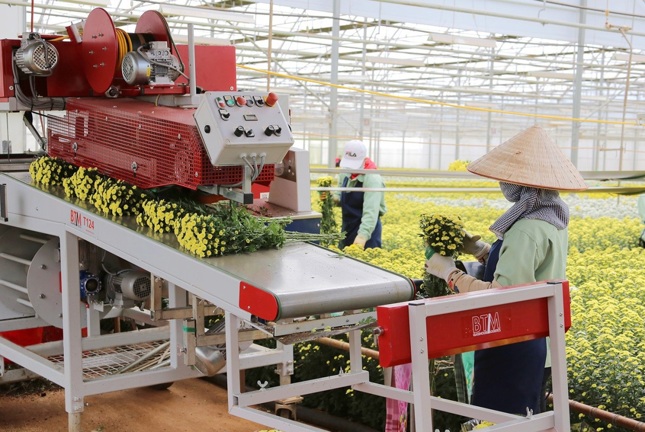 Dalat Hasfarm đi bộ gây quỹ vì người nghèo ảnh 2