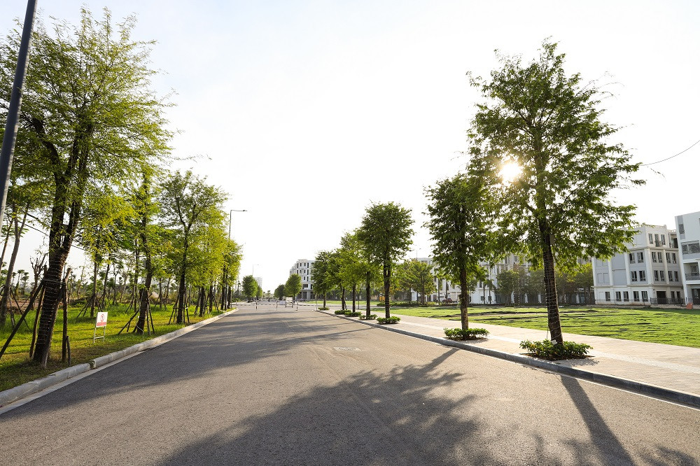 'The Symphony Of Love: Sự kiện được đầu tư công phu của The Manor Central Park ảnh 1