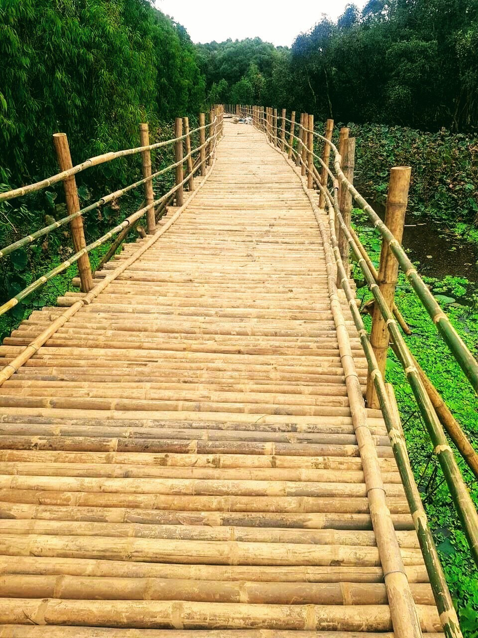 Bức họa Trà Sư ảnh 2