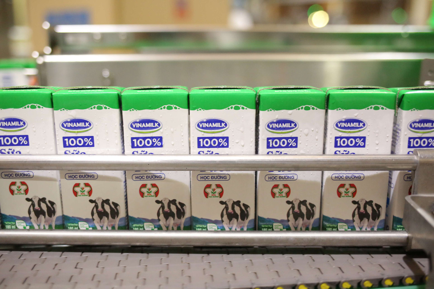 TP.HCM chính thức khởi động Chương trình Sữa học đường từ tháng 11/2019 ảnh 2