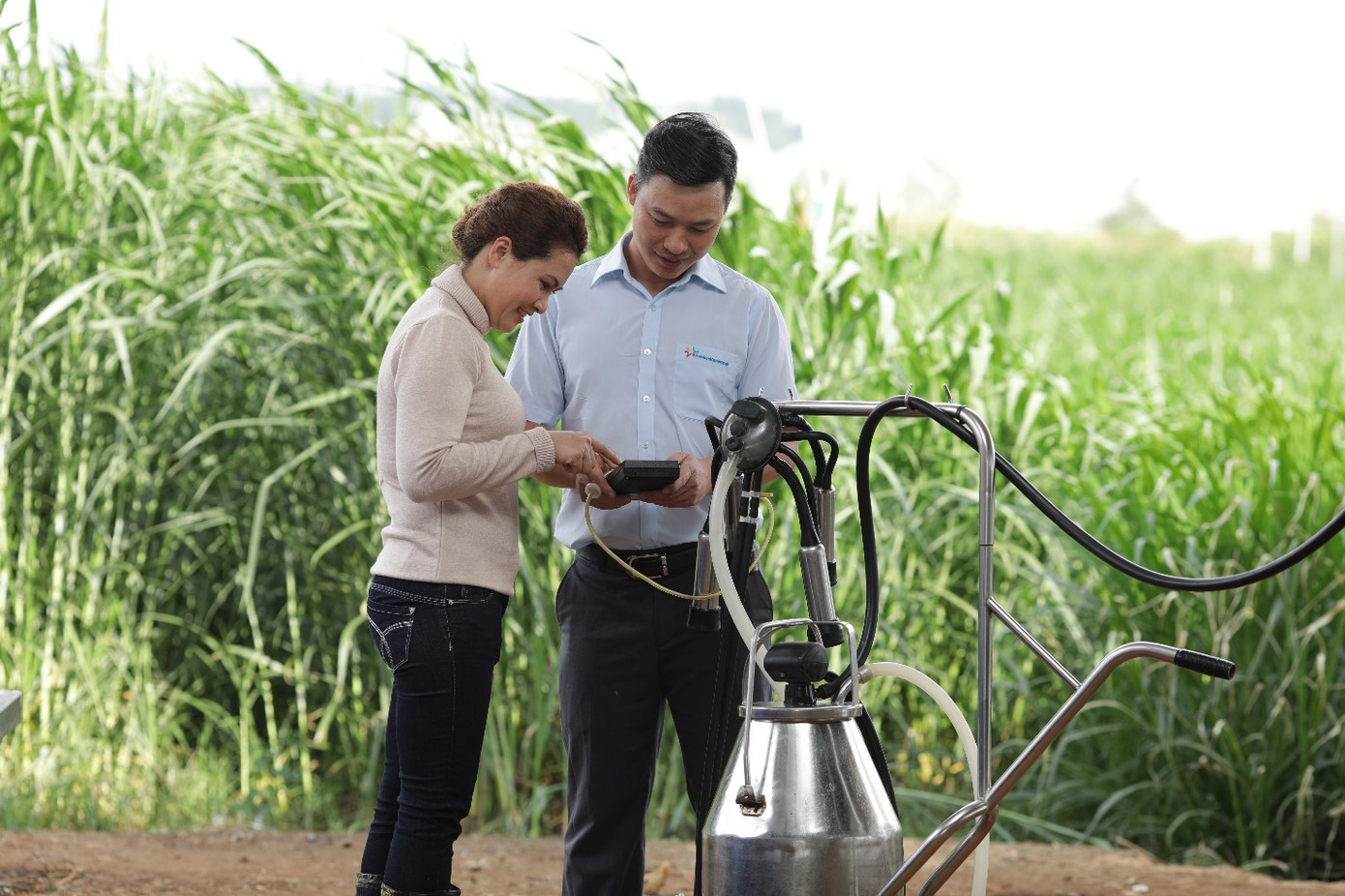 Cô gái Hà Lan tự hào có nguồn sữa nguyên liệu lớn và an toàn hơn chuẩn 11 lần ảnh 1