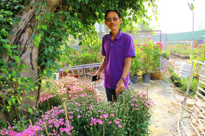 Đầu năm, ghé thăm nhà lão nông có sở thích màu tím 'quái lạ'! ảnh 6