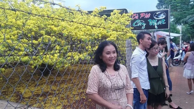 Dòng người lại bất ngờ đổ về thị trấn Gia Ray xem cây mai cổ 'bật dậy' ảnh 2