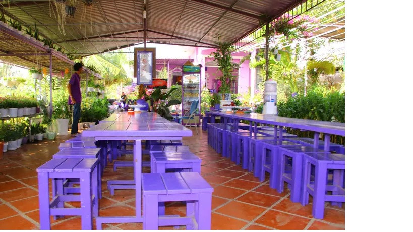 Đầu năm, ghé thăm nhà lão nông có sở thích màu tím 'quái lạ'! ảnh 5