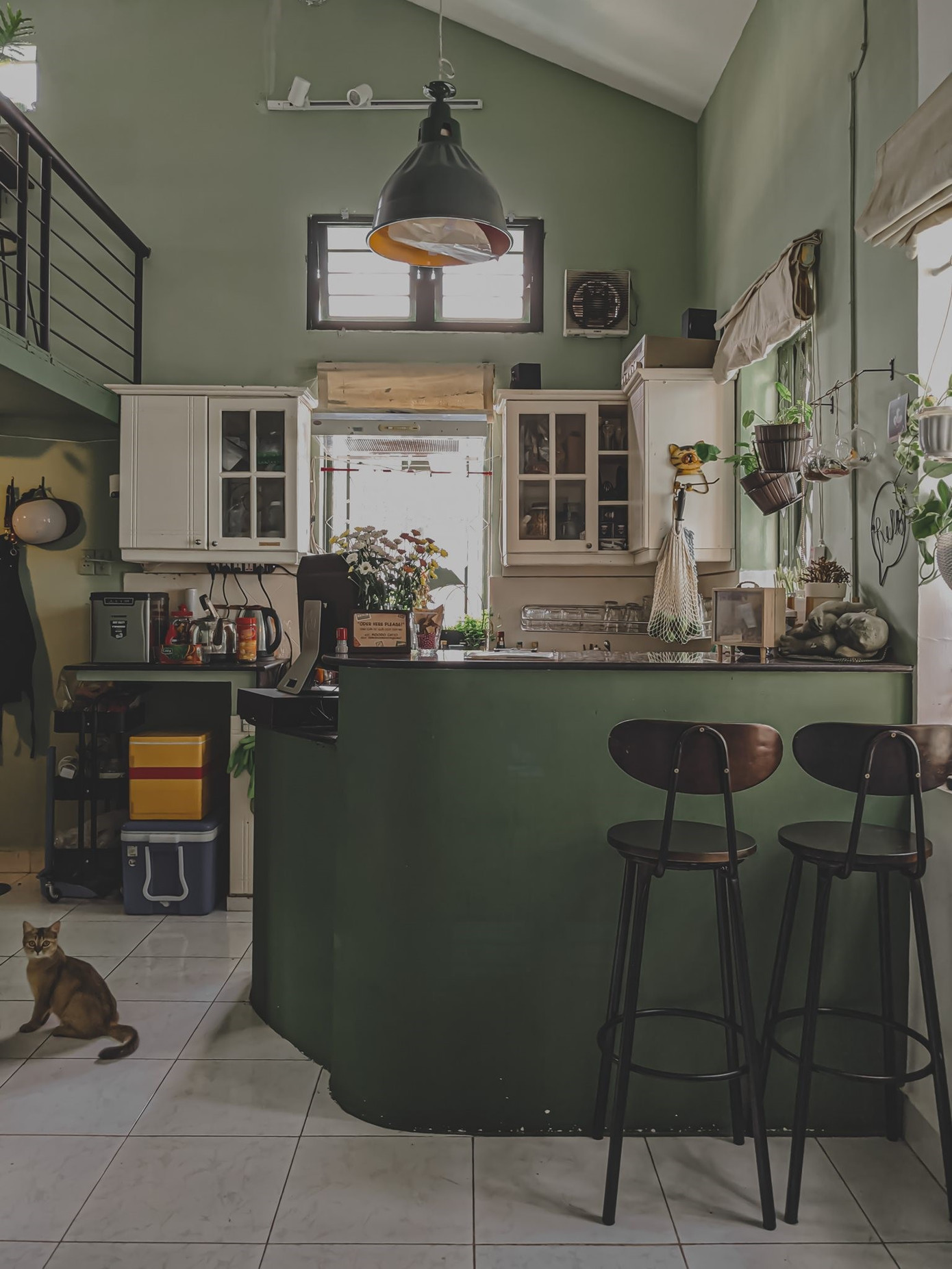 TP.HCM: Những tiệm cà phê vintage chất lừ dành cho hội mê thú cưng ảnh 1