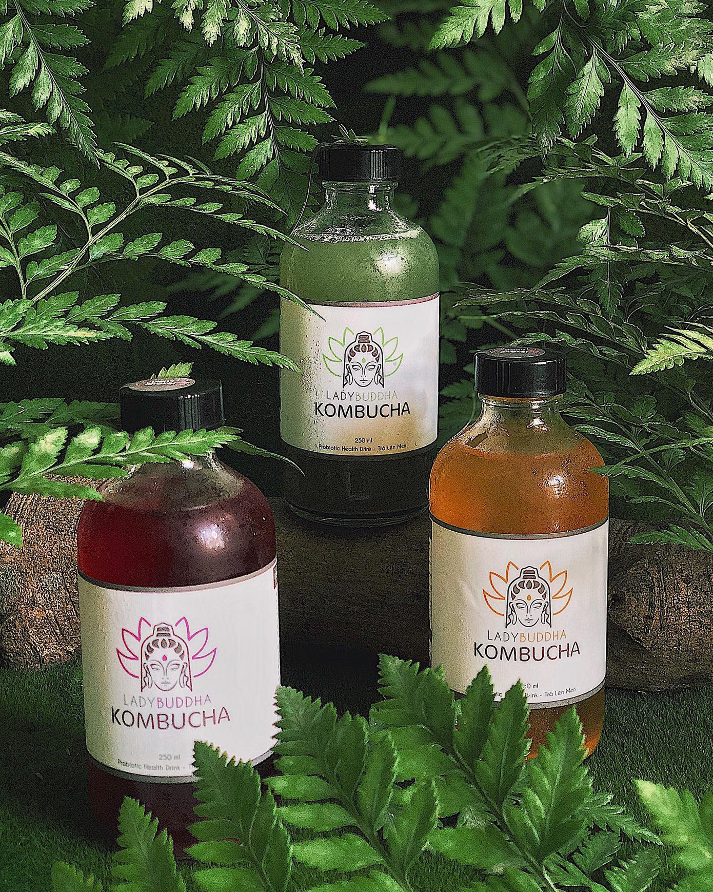 TP.HCM: Trạm dừng chân đáng yêu cho những lữ khách trót mê kombucha và đá xay ảnh 5