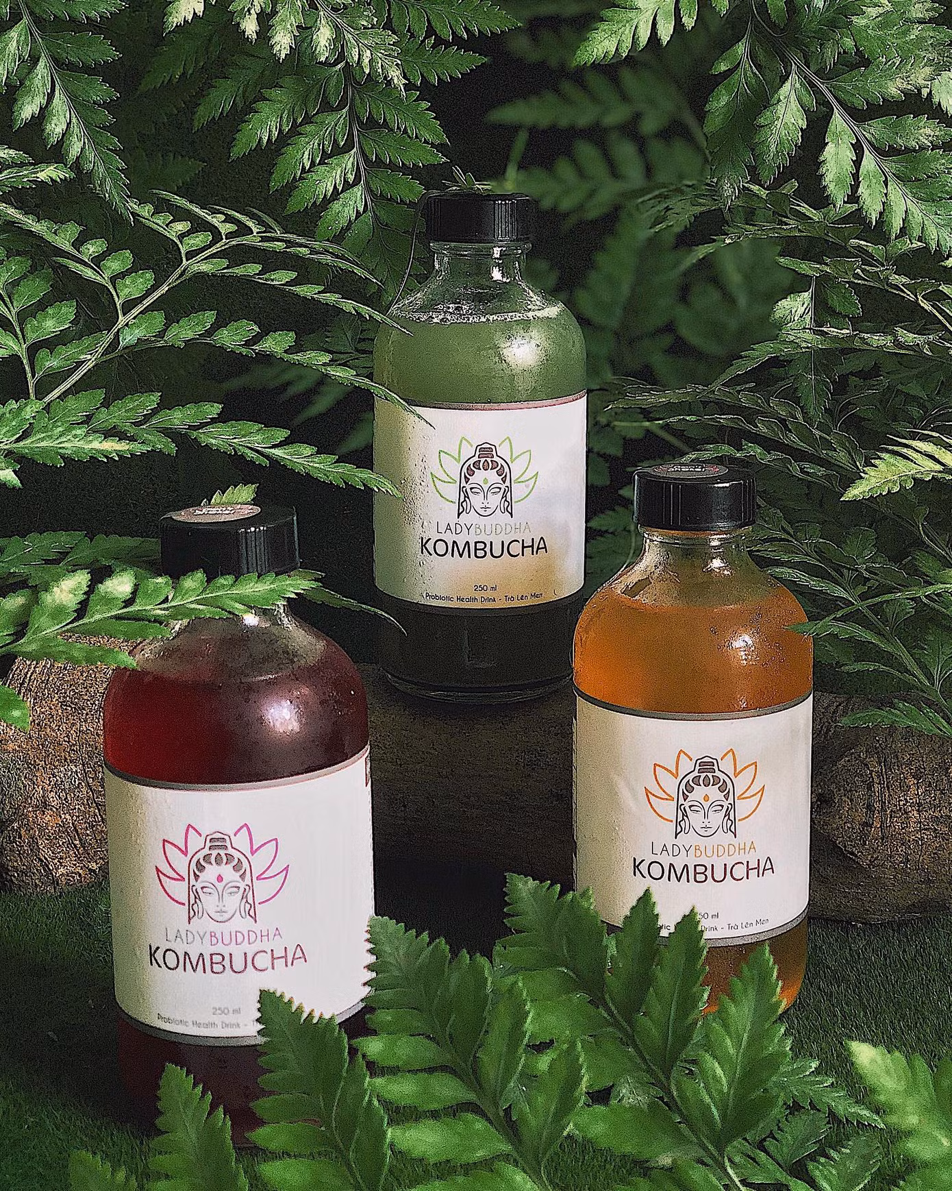 TP.HCM: Trạm dừng chân đáng yêu cho những lữ khách trót mê kombucha và đá xay ảnh 5