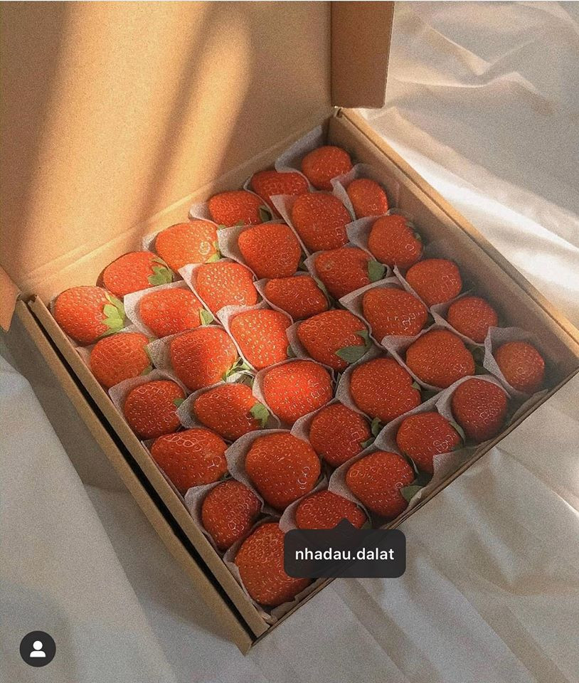 Dọc đường ăn dặm: Bánh căn Đà Lạt ngon trứ danh và thiên đường dâu đang chờ bạn! ảnh 12