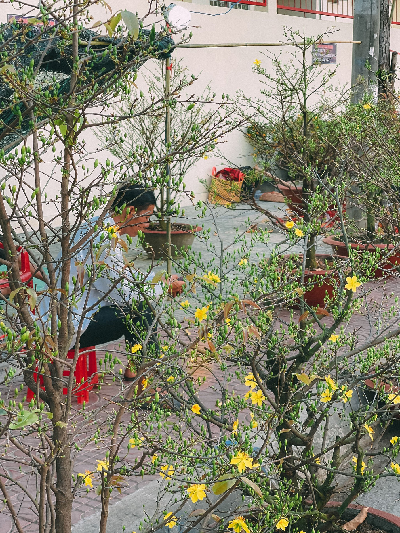 Tết là dịp để sum vầy, cũng là lúc chúng mình trưởng thành theo một cách thật đặc biệt ảnh 1