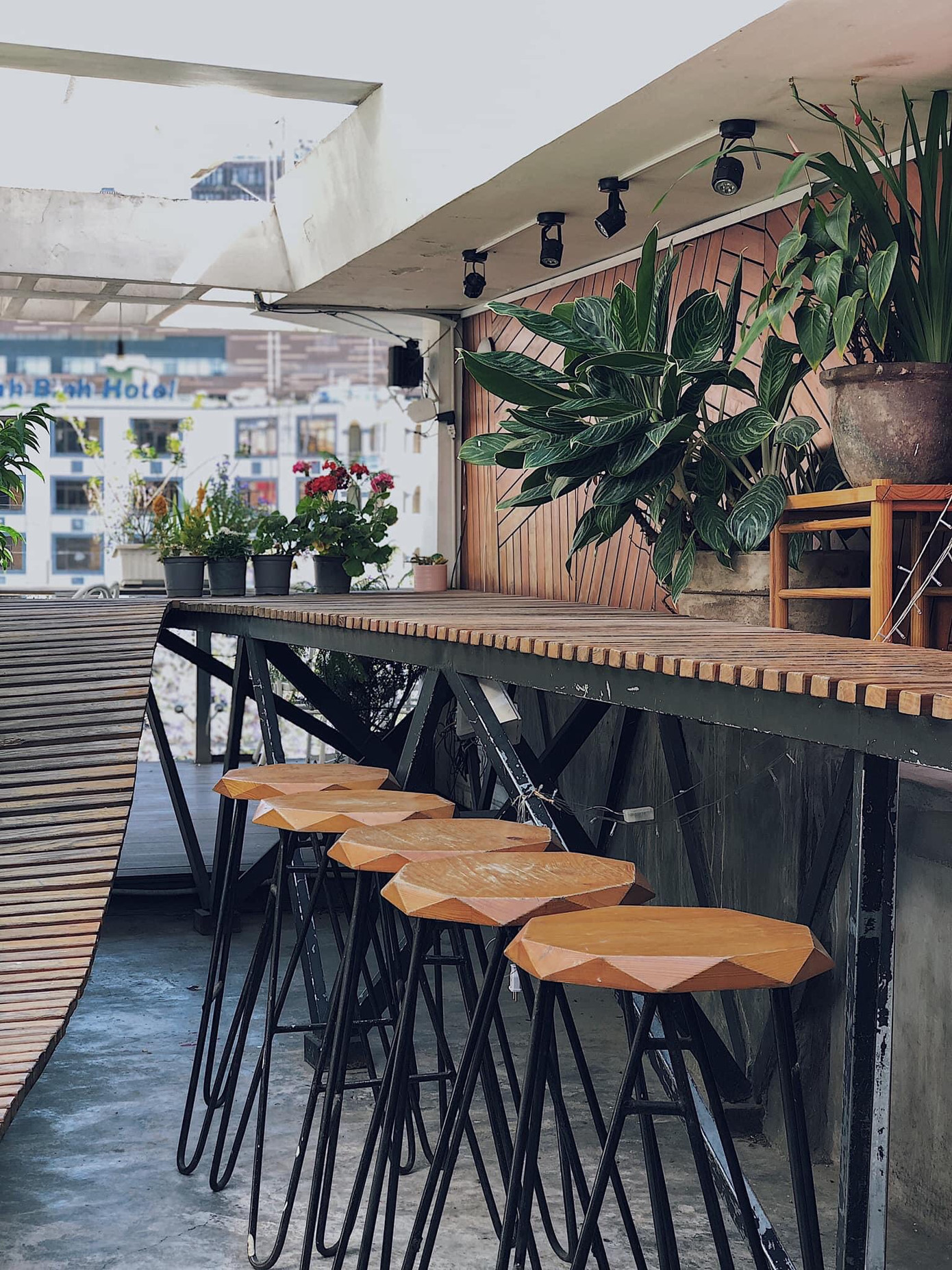 Những quán cà phê chất lừ nhất định bạn phải tới khi ghé thăm Đà Lạt ảnh 19