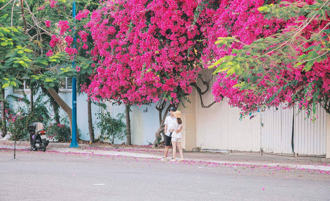 Teen Vũng Tàu hẹn hò nhau đi chụp hình check-in tại con đường hoa giấy đẹp ná thở ảnh 2