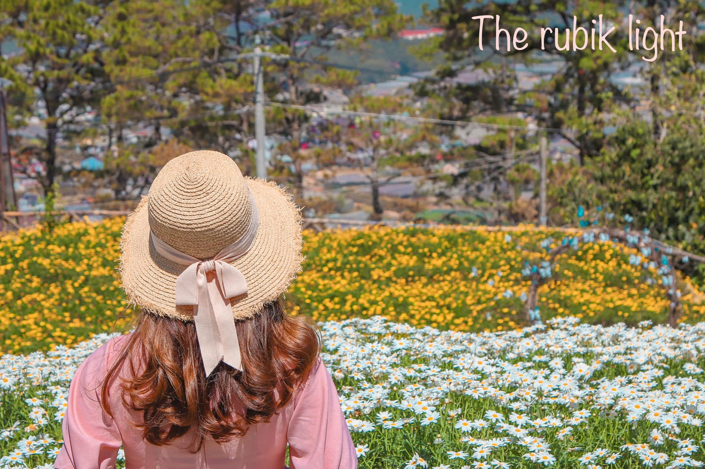 10 tọa độ sống ảo “chất lừ” không thể bỏ qua khi ghé thăm Đà Lạt (Phần 2) ảnh 2