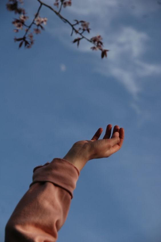 Hãy cứ chạy theo giấc mơ của mình, bởi vì giấc mơ chẳng bao giờ khiến em cô độc ảnh 2