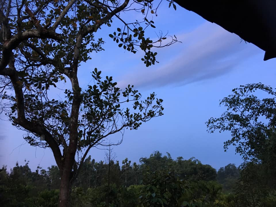 Cuộc thi viết Trà sữa cho tâm hồn: Tìm lại người bạn cũ mà mình đã bỏ quên năm nào ảnh 3