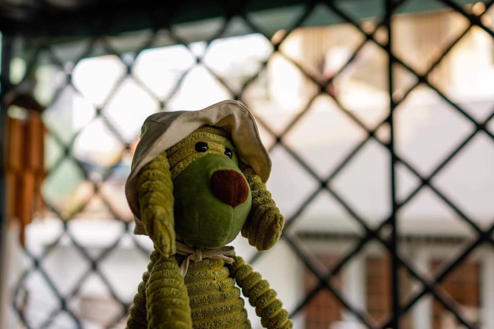 Làm gì cho vui khi thành phố “đóng băng“? ảnh 20