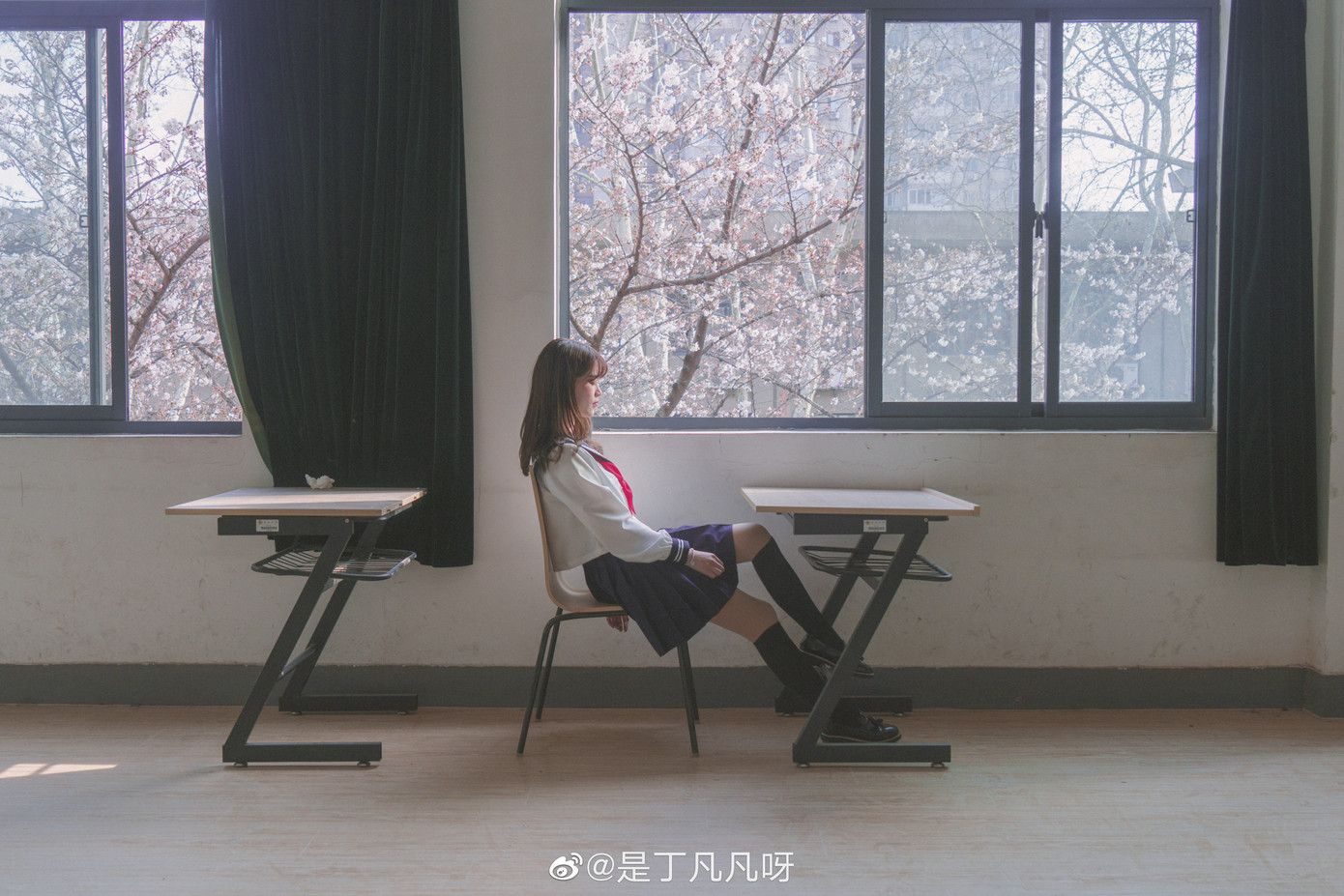 “Lớp học hoa anh đào” đẹp như phim trường hot nhất mạng xã hội ảnh 7