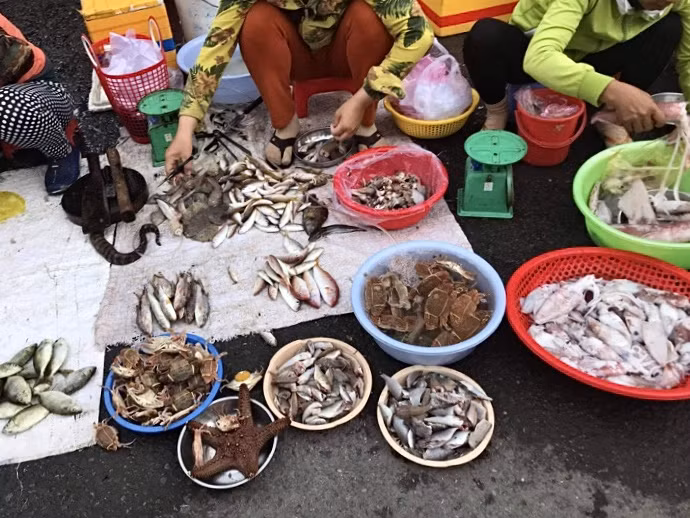 Điểm hẹn cuối tuần: Ăn gì và chơi ở đâu nếu bạn chỉ có một ngày ở Nha Trang? ảnh 3