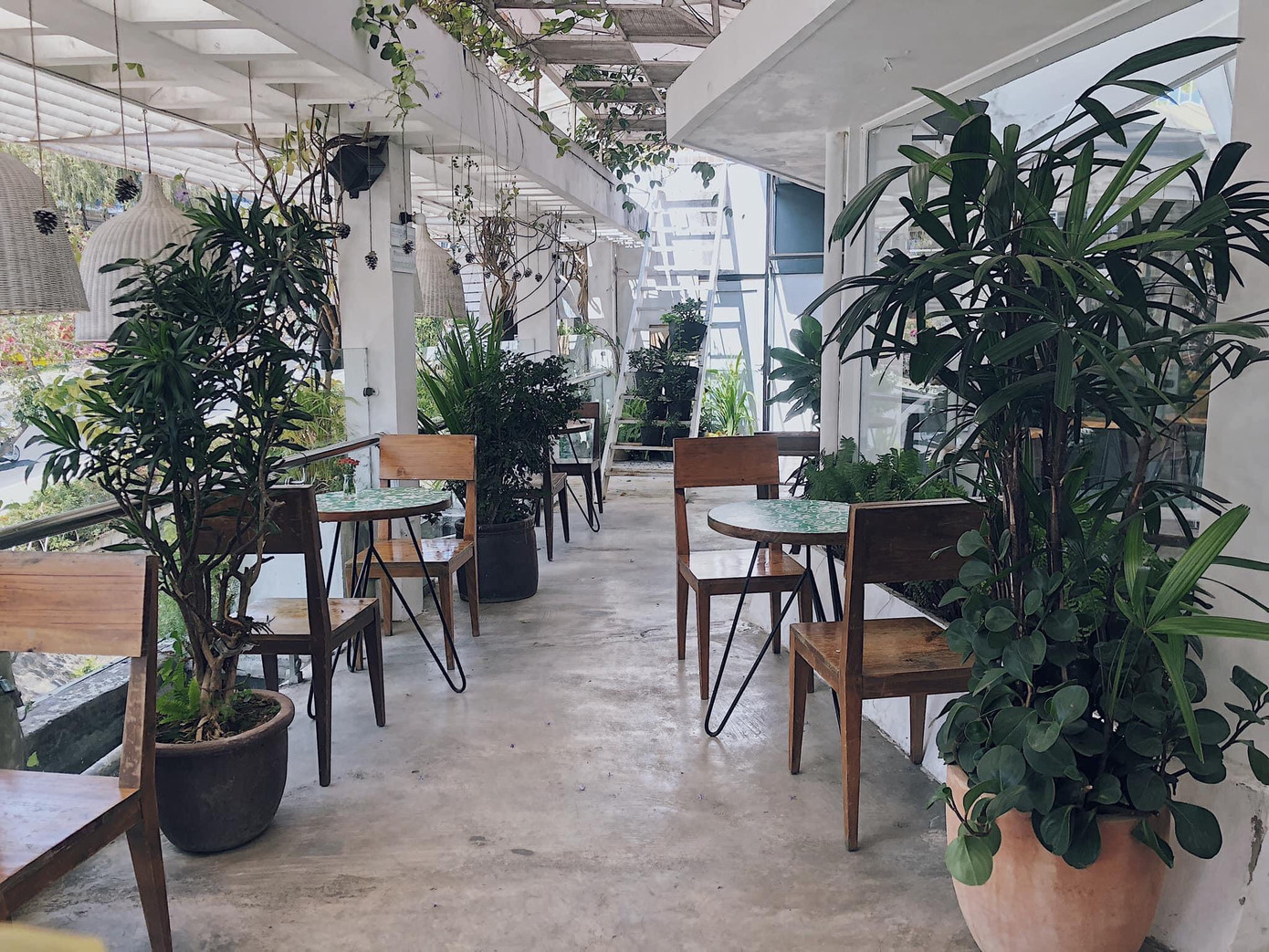 Những quán cà phê chất lừ nhất định bạn phải tới khi ghé thăm Đà Lạt ảnh 21