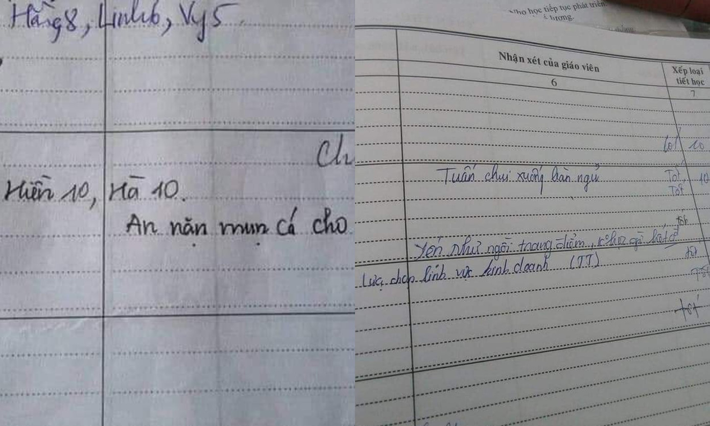 1001 lý do hài té ghế khiến thế hệ 8X - 9X từng chễm chệ “ngồi trên sổ đầu bài“ ảnh 2