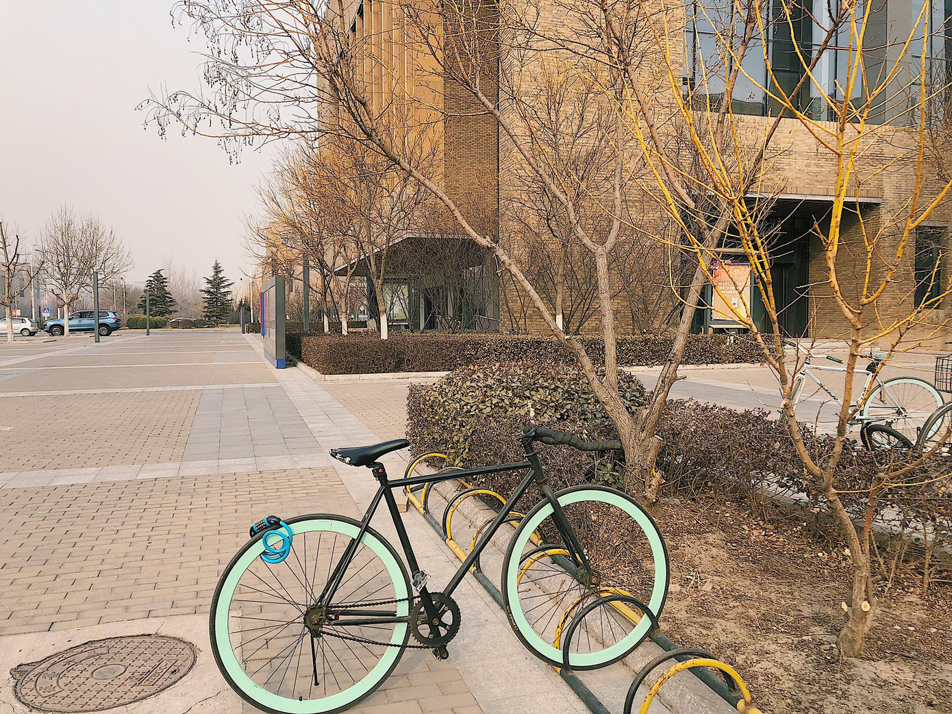 Cuộc thi viết Trà sữa cho tâm hồn: Cây đũa phép của mùa Xuân ảnh 2