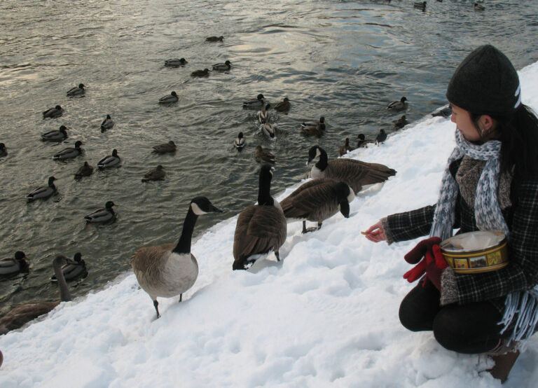Giải mã “hội chứng Stockholm”: Tại sao tôi lại yêu và mê Stockholm đến vậy? ảnh 7